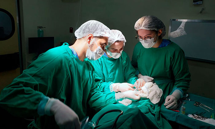 Dr Denis Rangel, Niterói