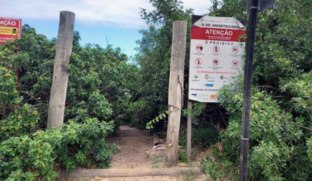 Restinga Itacoatiara