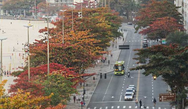 amendoeiras praia de icaraí