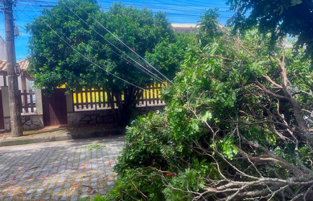 Árvore caída na Rua das Camélias, em Itacoatiara, Niterói