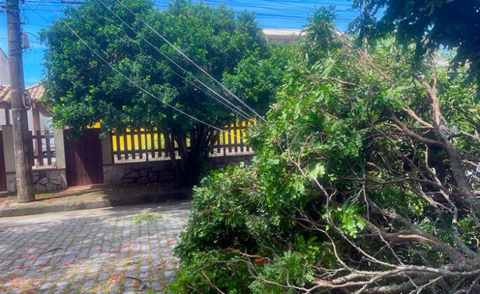 Árvore caída na Rua das Camélias, em Itacoatiara, Niterói