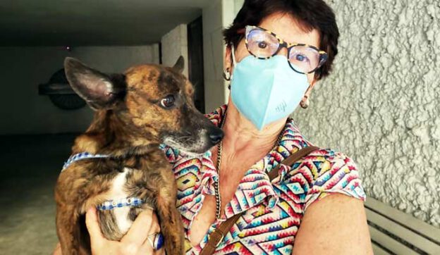 Bento e dona Márcia