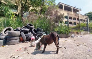 CIEP abandonado em Tenente Jardim, São Gonçalo