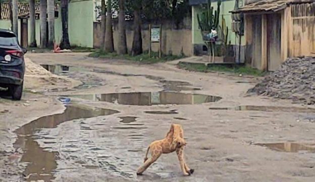 Estrada do Engenho do Mato