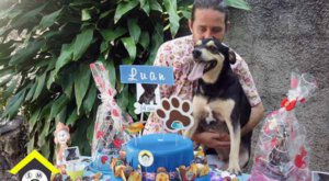 festa pra cachorro