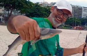 O atributo alt desta imagem está vazio. O nome do arquivo é tubarao-icarai.jpg