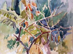 aquarela de Claudio Valério Teixeira