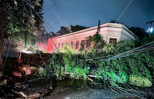Árvore derruba pela tempestade em Niterói / foto: Divulgação Enel