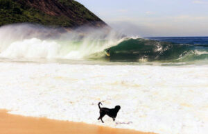 Praia de Itacoatiara, Niterói