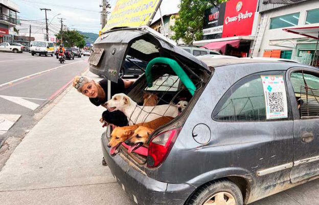 Ozana Garcia, Niterói