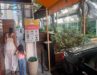 Parklet na Rua Capitão Zeferino, Niterói