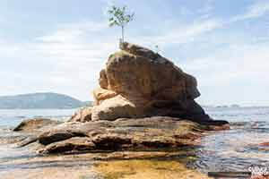Pedra da Itapuca