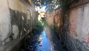 rio assoreado