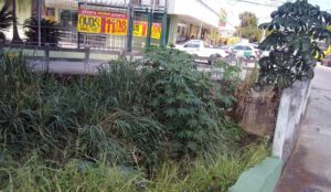 rio assoreado